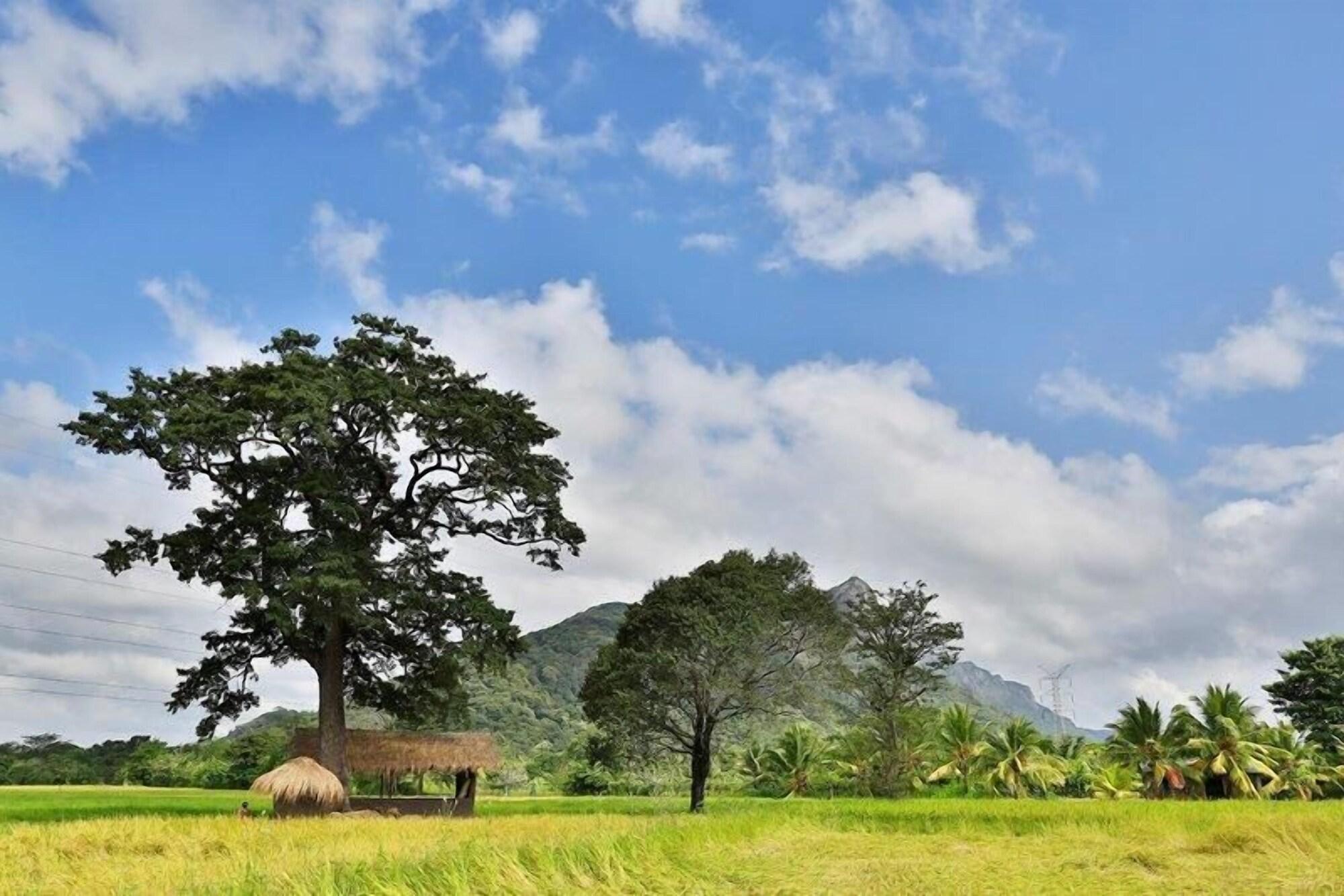Kalundewa Retreat Hotel Dambulla Bagian luar foto