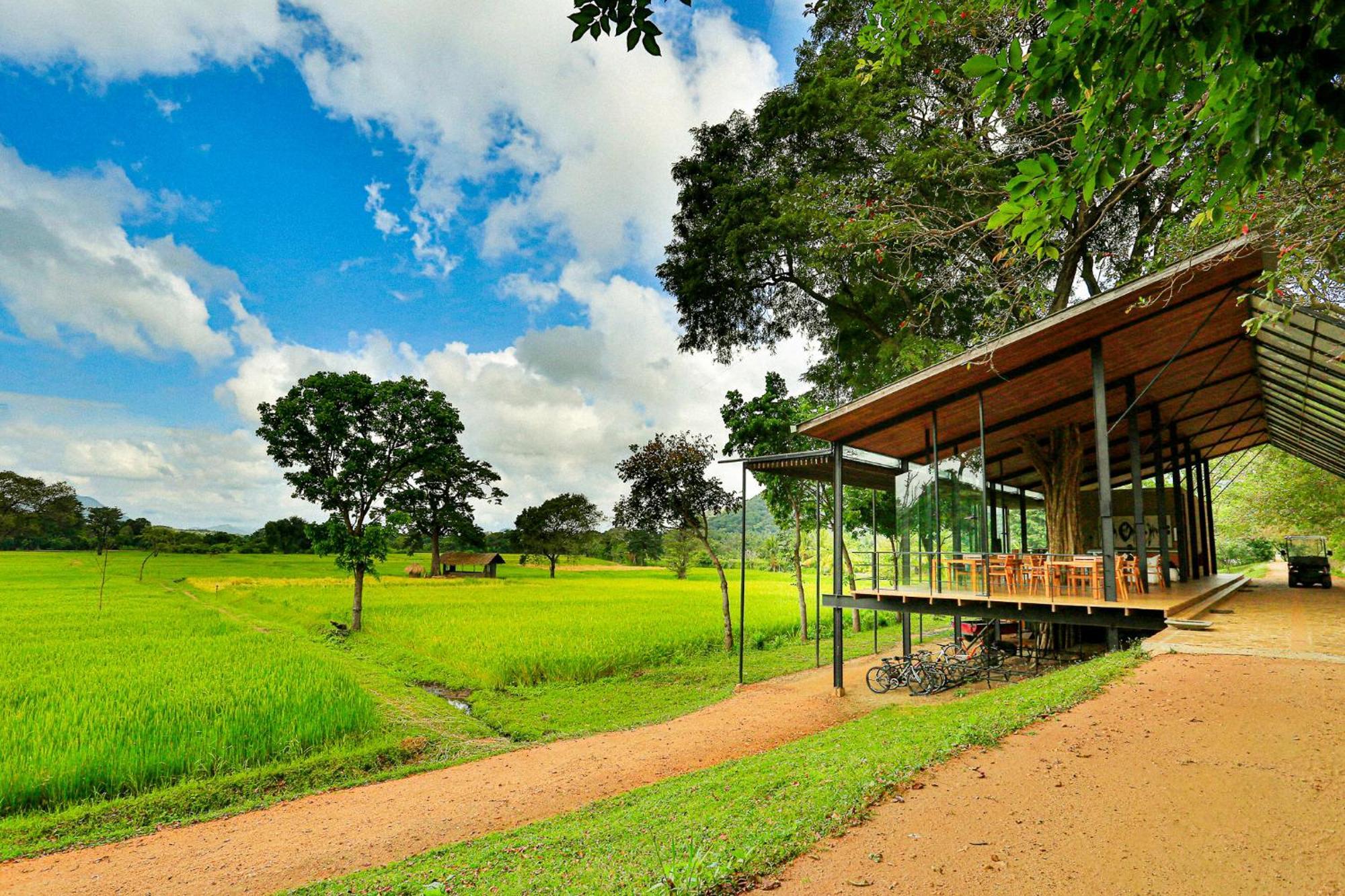 Kalundewa Retreat Hotel Dambulla Bagian luar foto
