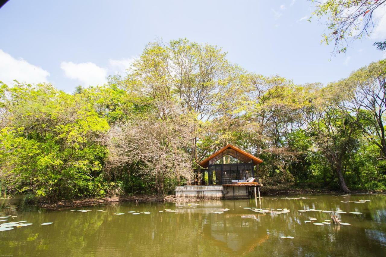Kalundewa Retreat Hotel Dambulla Bagian luar foto